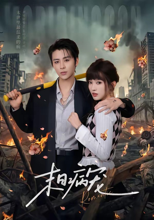 末日病宠（60集）一起追短剧