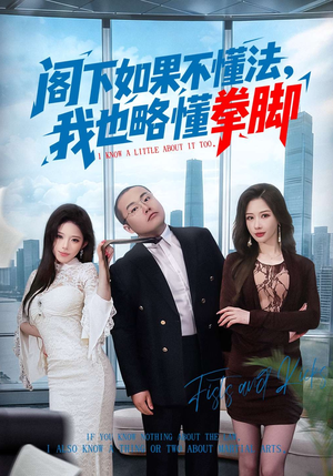 阁下如果不懂法，我也略懂拳脚（77集）解说