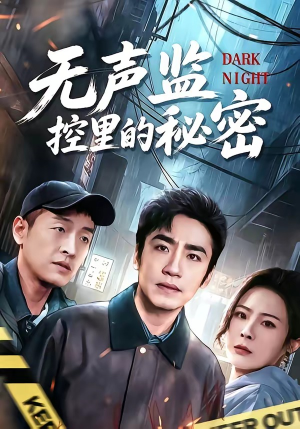 无声监控里的秘密（84集）好看的短剧分享