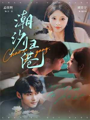 潮汐归港（66集）最后的大结局