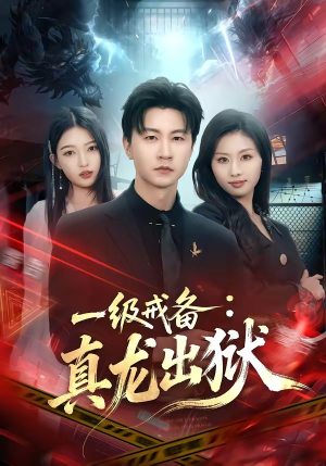 一级戒备：真龙出狱（73集）短剧前十排行榜