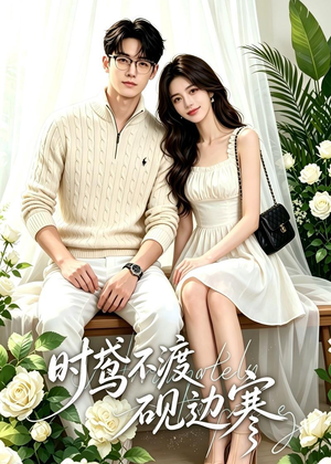 时鸢不渡砚边寒（41集）短剧精彩不断