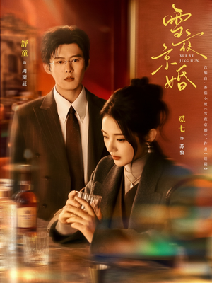 雪夜京婚（84集）短剧爆款推荐