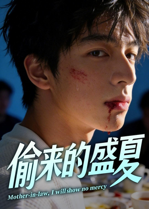 偷来的盛夏（40集）解说
