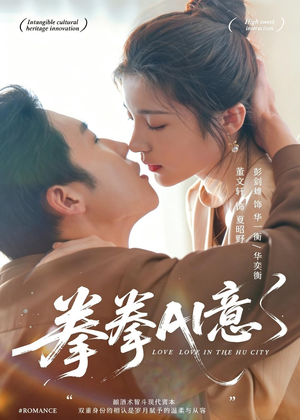 拳拳AI意（72集）在线看