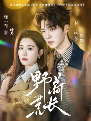 野荷荒长（86集）精彩短剧分享。