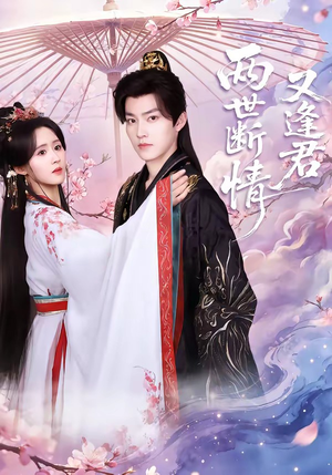 两世断情又逢君（71集）短剧在线观看