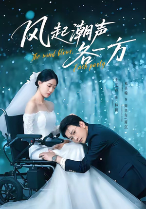 风起潮声各一方（84集）深深爱上这部剧