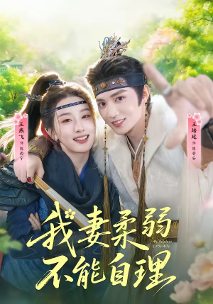 我妻柔弱不能自理（72集）全集一次看完