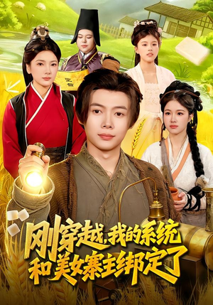 刚穿越，我的系统和美女寨主绑定了（98集）热门短剧大全