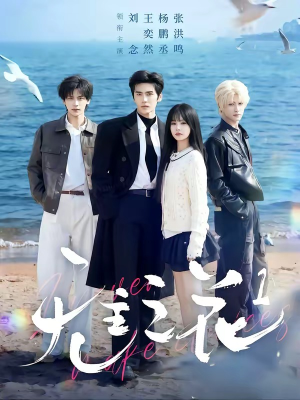 无主之花1（72集）红果免费看短剧