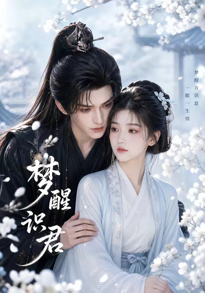 梦醒识君（16集）全集一次看完