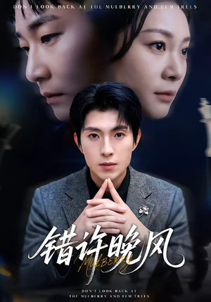 错许晚风（60集）短剧热播抢先看