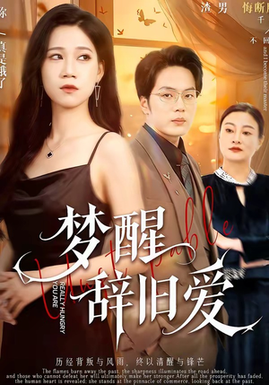 梦醒辞旧爱（55集）番茄短剧免费看