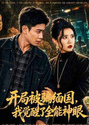 开局被骗缅国，我觉醒了全能神眼（84集）免费版