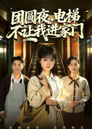团圆夜，电梯不让我进家门（52集）在线看完整版