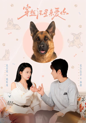 穿越汪星来爱你（62集）短剧太好看了