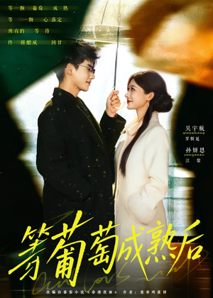 等葡萄成熟后(82集) 等葡萄成熟后(82集)深深爱上这部剧