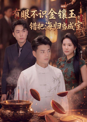 有眼不识金镶玉错把海归当成宝（80集）全集完整版