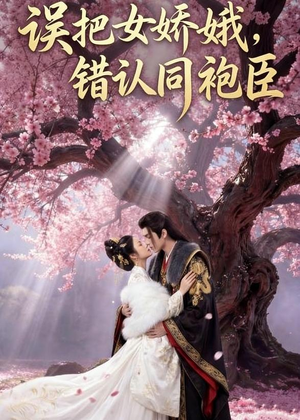 误把女娇娥，错认同袍臣（28集）一口气追完短剧