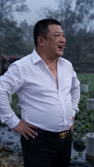 在我地皮盖洋楼地基塌了你又慌了（50集）短剧全集完整