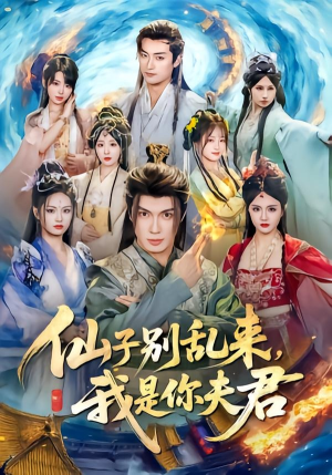 仙子别乱来,我是你夫君(75集) 仙子别乱来,我是你夫君(75集)百度网盘在线看