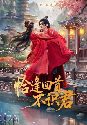 恰逢回首不识君(72集) 恰逢回首不识君(72集)集免费看短剧