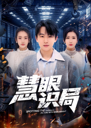 慧眼识局(72集) 慧眼识局(72集)解说文案