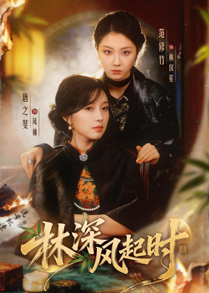 林深风起时(63集) 林深风起时(63集)完整版