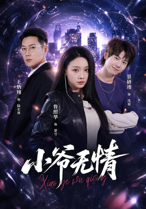 小爷无情（75集）精彩短剧热播