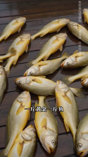 我以赶海改此生(40集) 我以赶海改此生(40集)上热门短剧