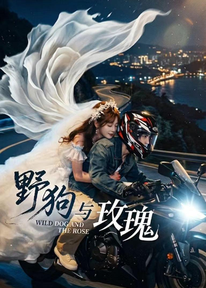 野狗与玫瑰(30集) 野狗与玫瑰(30集)免费短剧看不停