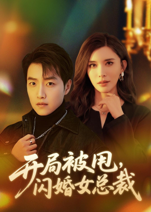 开局被甩,闪婚女总裁(80集) 开局被甩,闪婚女总裁(80集)百亿短剧抢先看