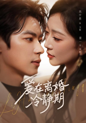 爱在离婚冷静期（73集）红果免费看短剧
