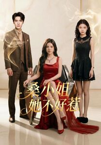 桑小姐她不好惹（103集）短剧全集大结局