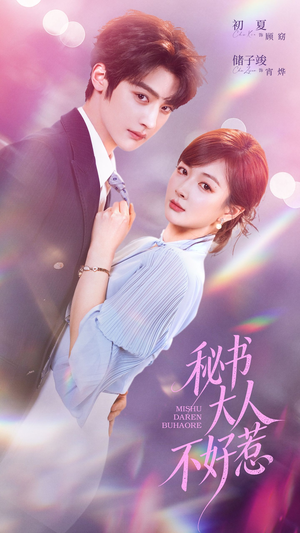 秘书大人不好惹(62集) 秘书大人不好惹(62集)免费观看完整版