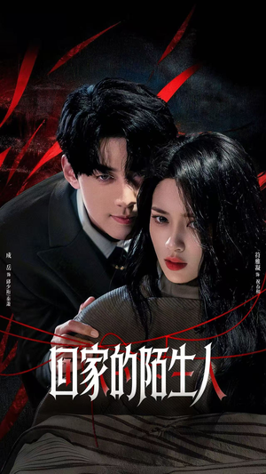 回家的陌生人（61集）深深爱上这部剧
