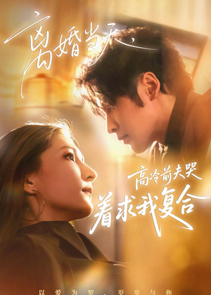 离婚当天，高冷前夫哭着求我复合（77集）短剧免费观看