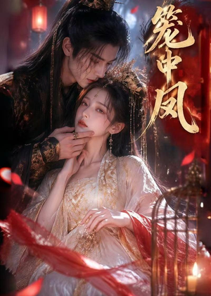 笼中凤（44集）红果免费短剧