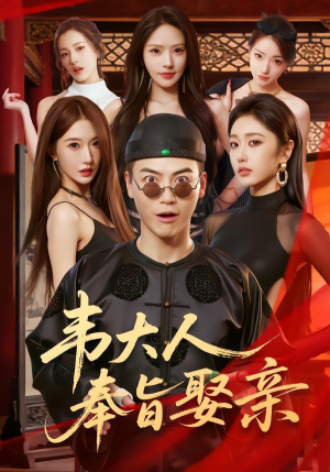 韦大人奉旨娶亲（81集）我全都看完了