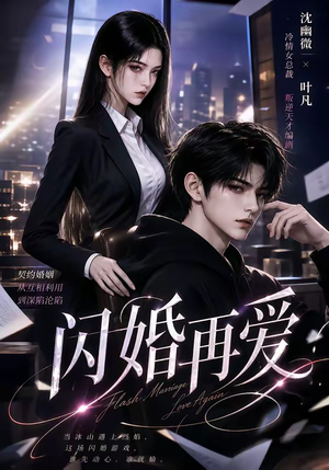 闪婚再爱(18集) 闪婚再爱(18集)解说