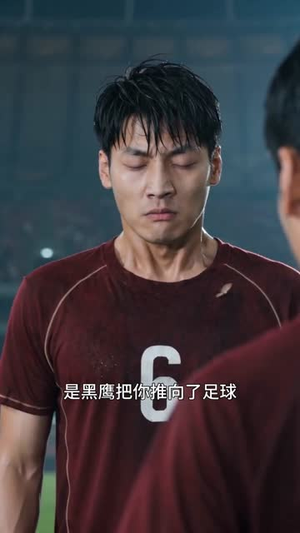 绿茵少年的绝杀誓言（45集）UC网盘在线看