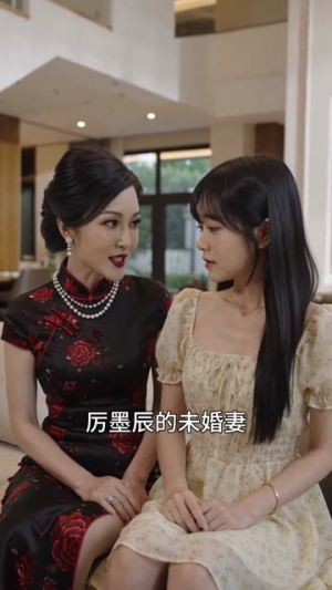 替嫁夫人厉总情深（81集）精彩短剧下载