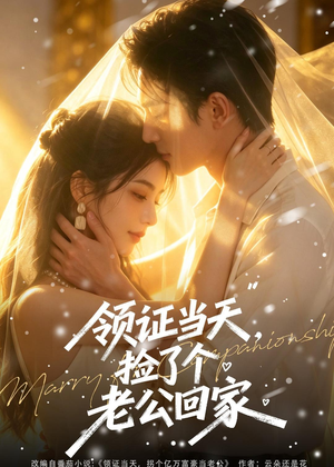 领证当天，捡了个老公回家（80集）热门短剧大全