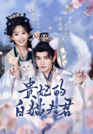 贵妃的白猫夫君(81集) 贵妃的白猫夫君(81集)热播短剧全集看