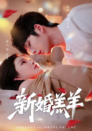 新婚羔羊（89集）高分推荐免费看