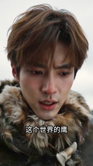 原始直播：我养活了整个部落（60集）全集免费观看