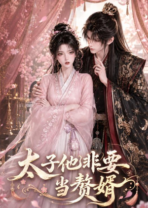 太子他非要当赘婿（31集）在线看免费版