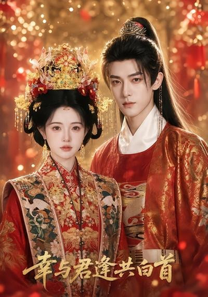 幸与君逢共白首(79集) 幸与君逢共白首(79集)热门短剧榜单