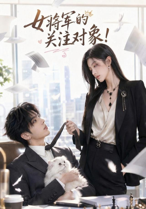 女将军的关注对象！（61集）在哪个平台看好